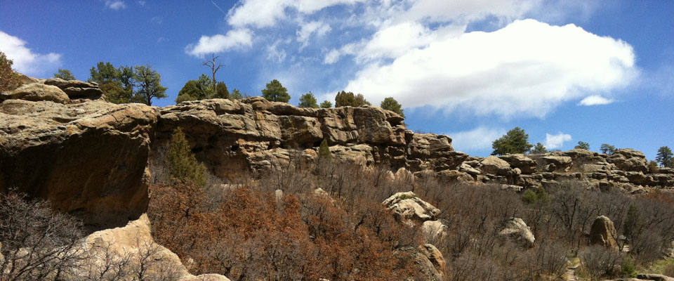 Healing in the Psalms
